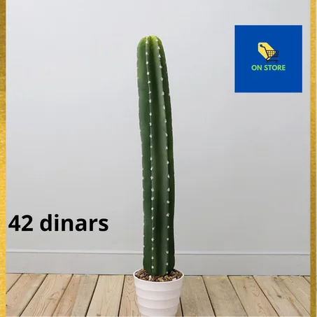 Fake cactus décoration