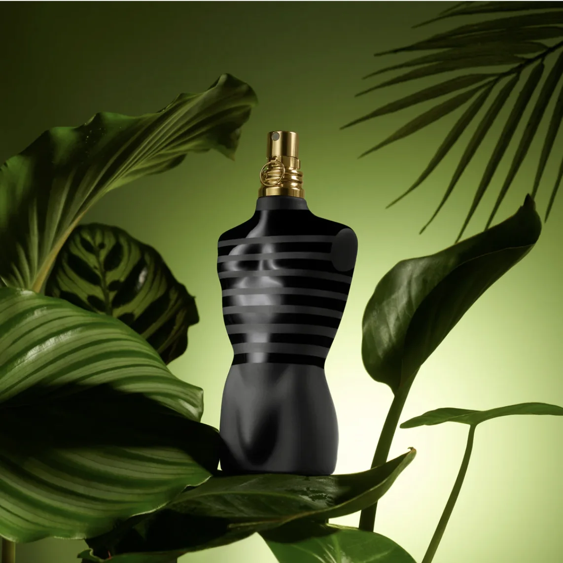 Jean Paul Gaultier – Le Male (Le Parfum)