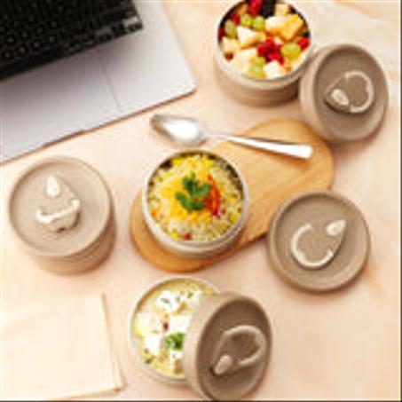 مجموعة من 4 قطع من حاويات الغداء المعزولة المحمولة مع حقيبة