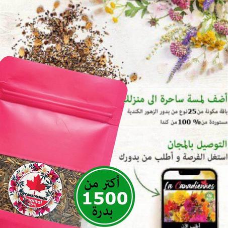 بدور الزهور الكندية 25 نوع