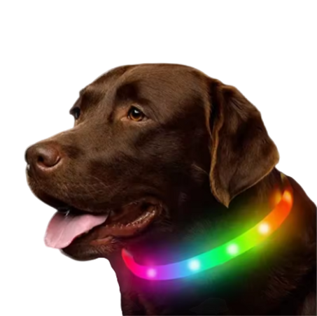 طوق طلاب مضيى راىع