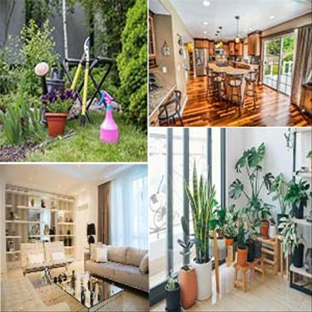 المنزل و الحديقة