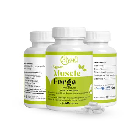 تشكيل العضلات