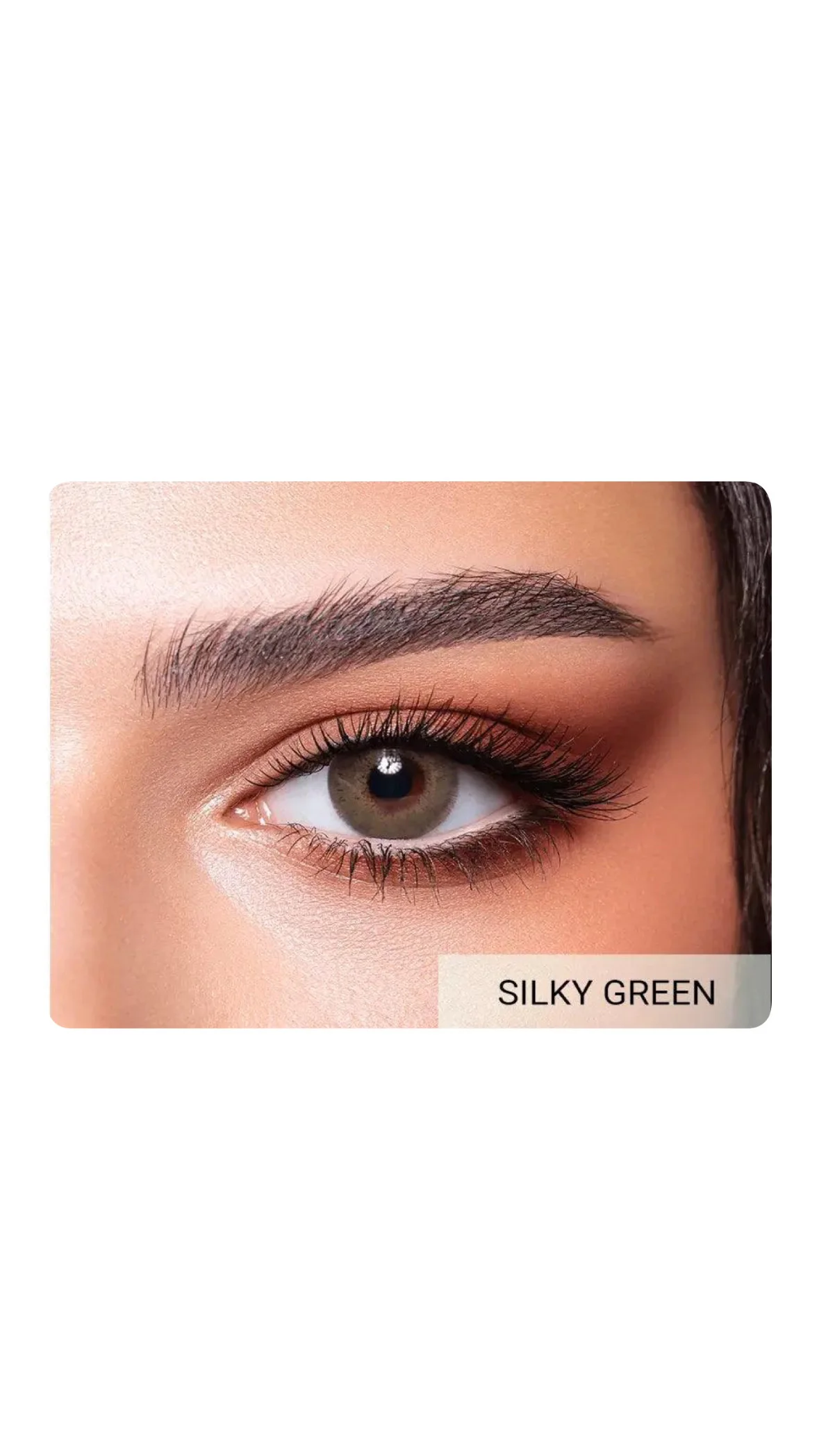 Bella Elite Collection – Colored Contact Lensesعدسات بيلا إيليت الملونة