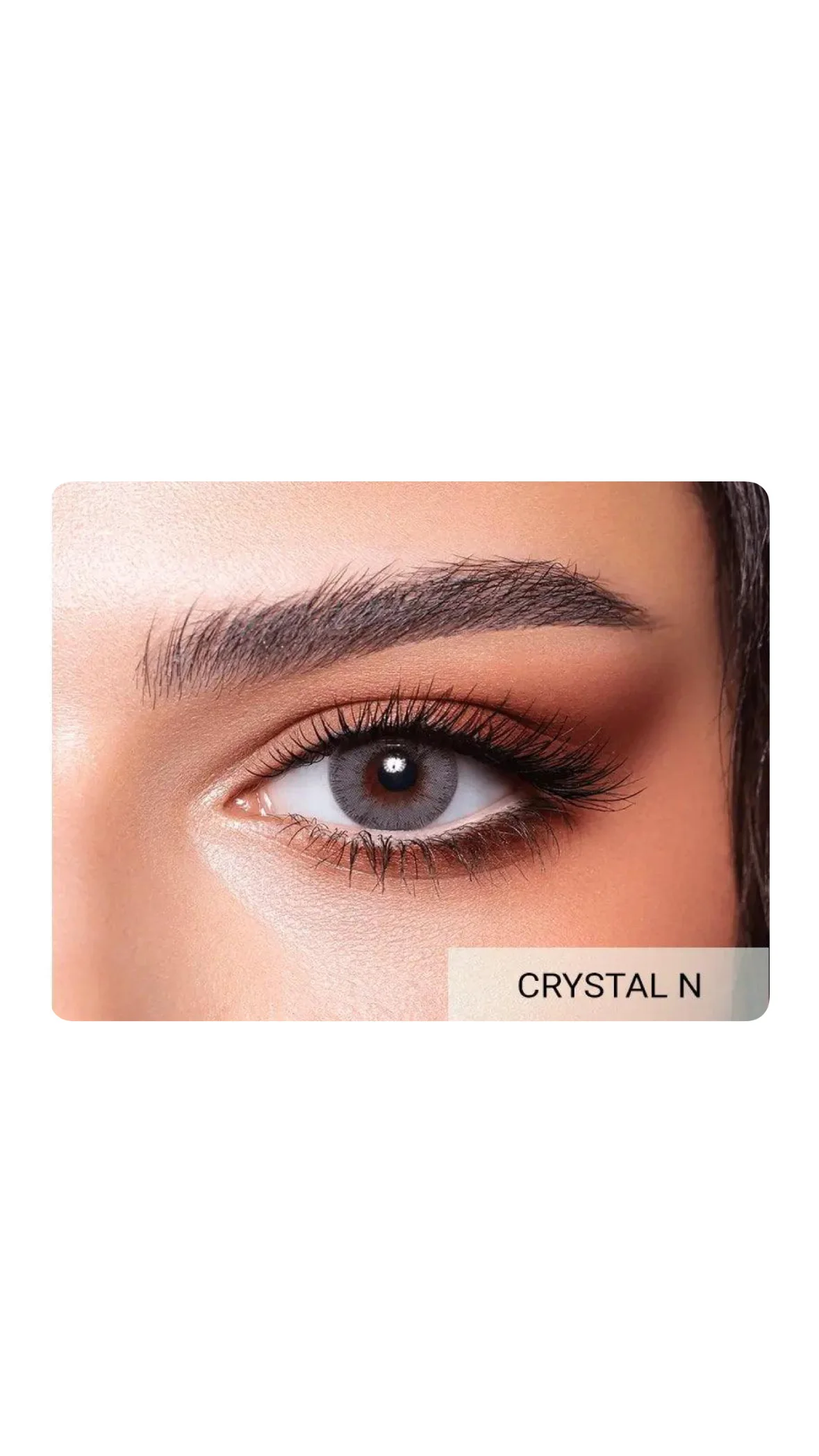 Bella Elite Collection – Colored Contact Lensesعدسات بيلا إيليت الملونة