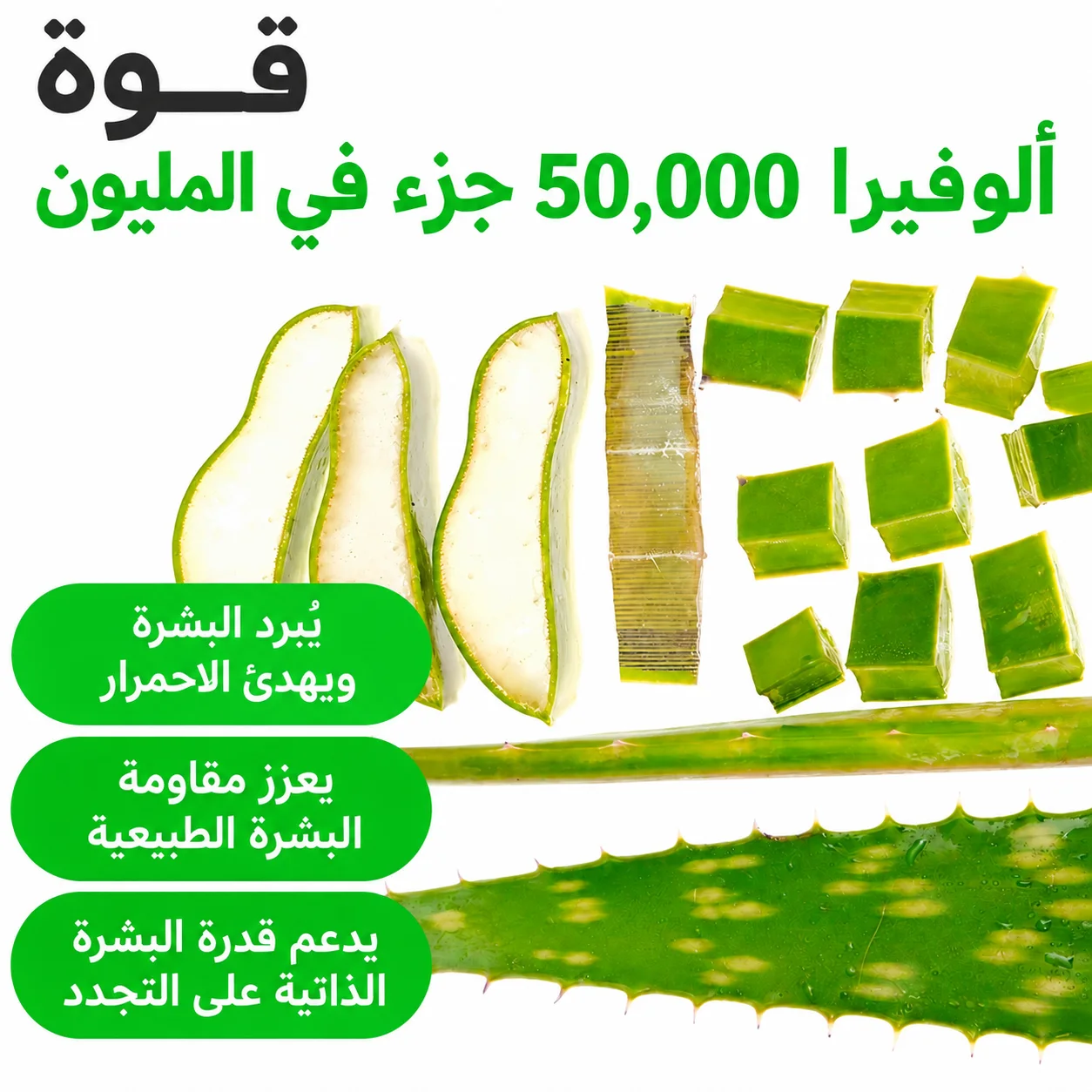 سيروم إكوالبيري بالألوفيرا وPDRN لتهدئة وتنعيم البشرة – 30 ملEQQUALBERRY Aloe PDRN Calming Smoothie Serum 30 ml
