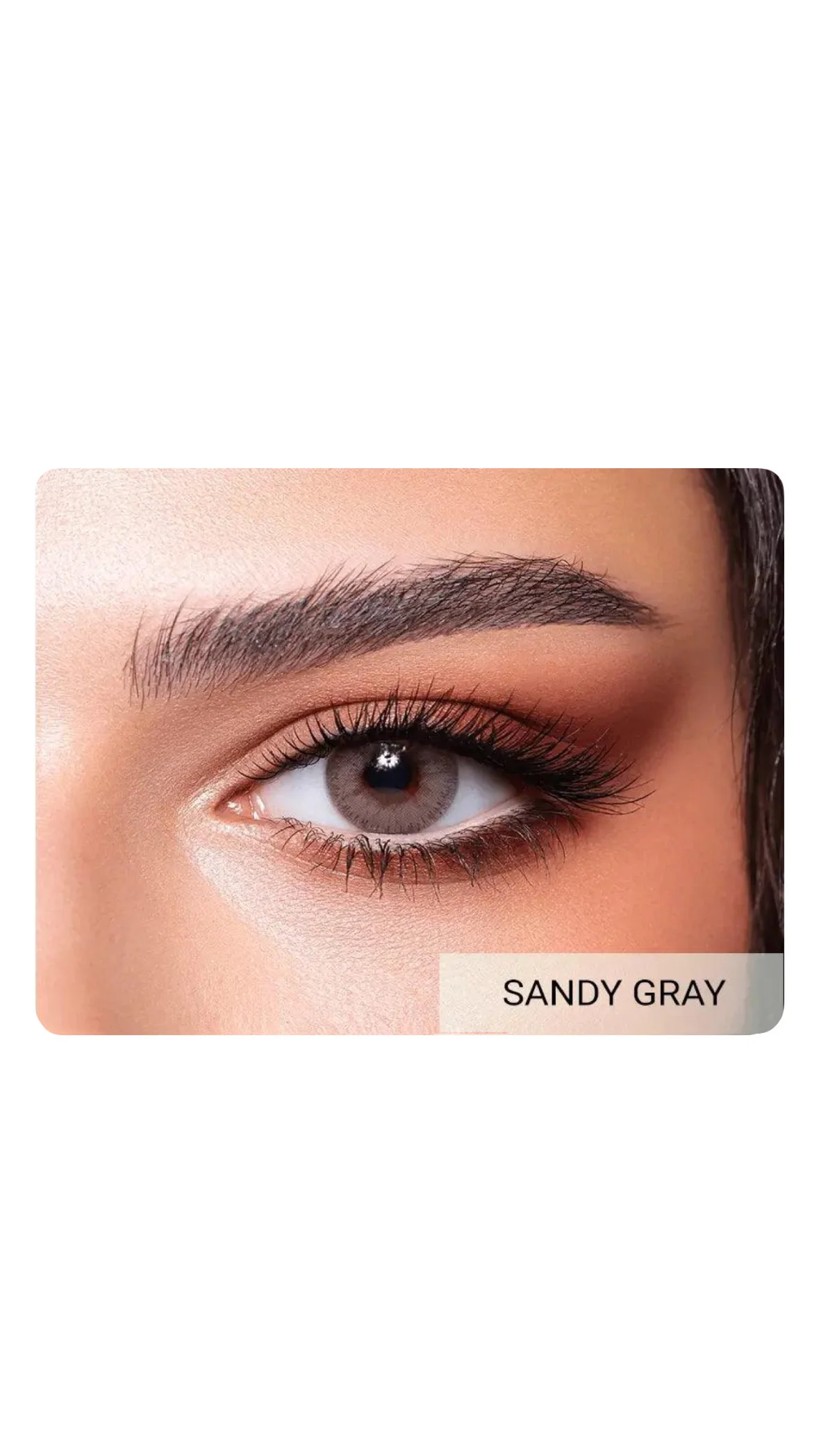 Bella Elite Collection – Colored Contact Lensesعدسات بيلا إيليت الملونة