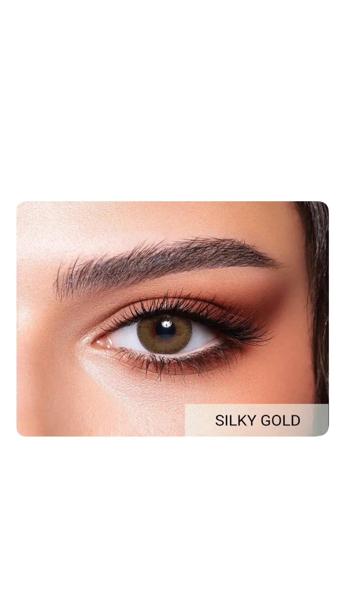 Bella Elite Collection – Colored Contact Lensesعدسات بيلا إيليت الملونة
