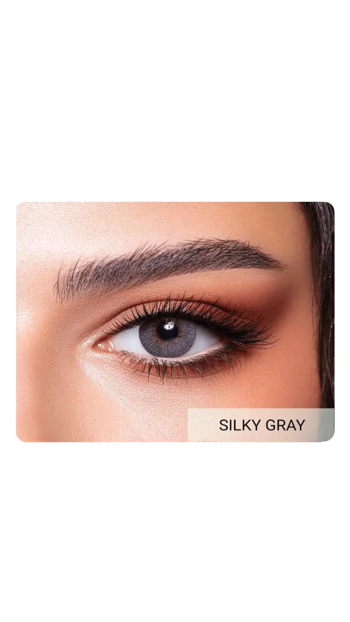 Bella Elite Collection – Colored Contact Lensesعدسات بيلا إيليت الملونة