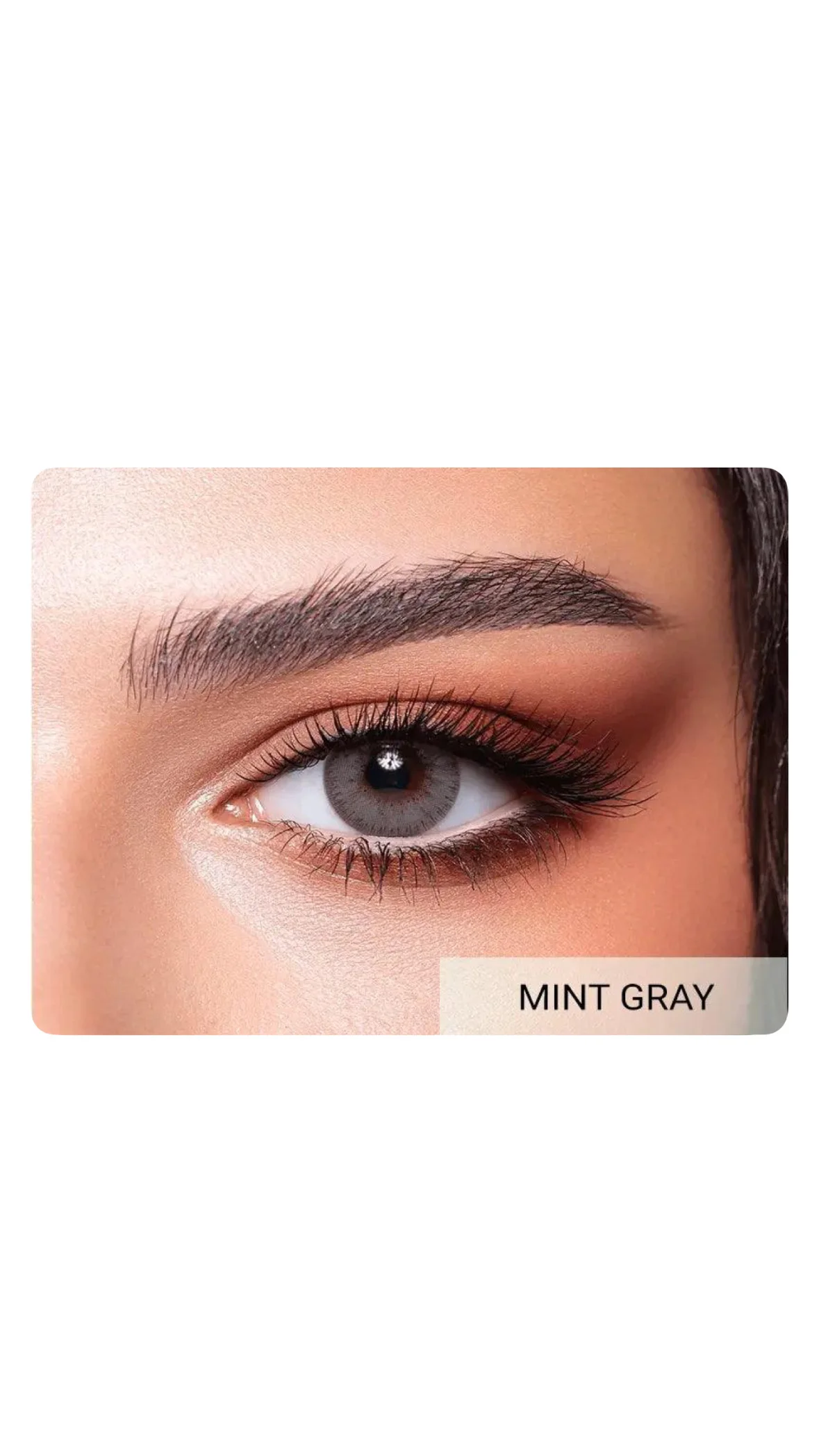 Bella Elite Collection – Colored Contact Lensesعدسات بيلا إيليت الملونة