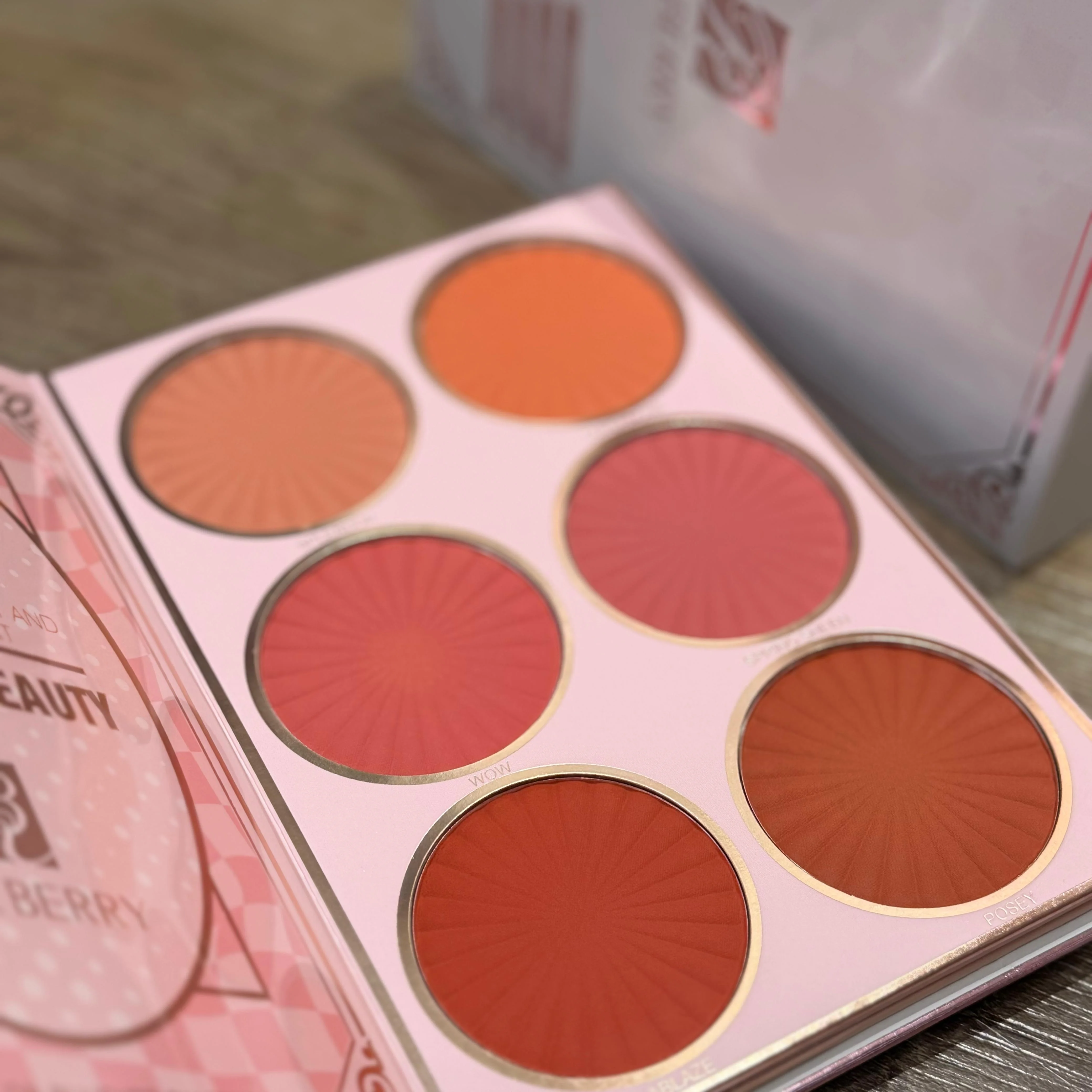 Rose Berry Professional Make-Up Kitمجموعة مكياج احترافية من روز بيري