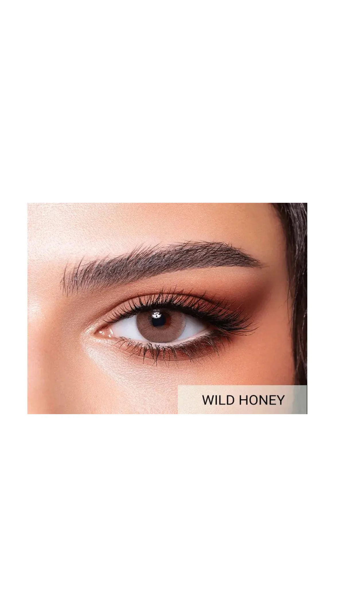 Bella Elite Collection – Colored Contact Lensesعدسات بيلا إيليت الملونة