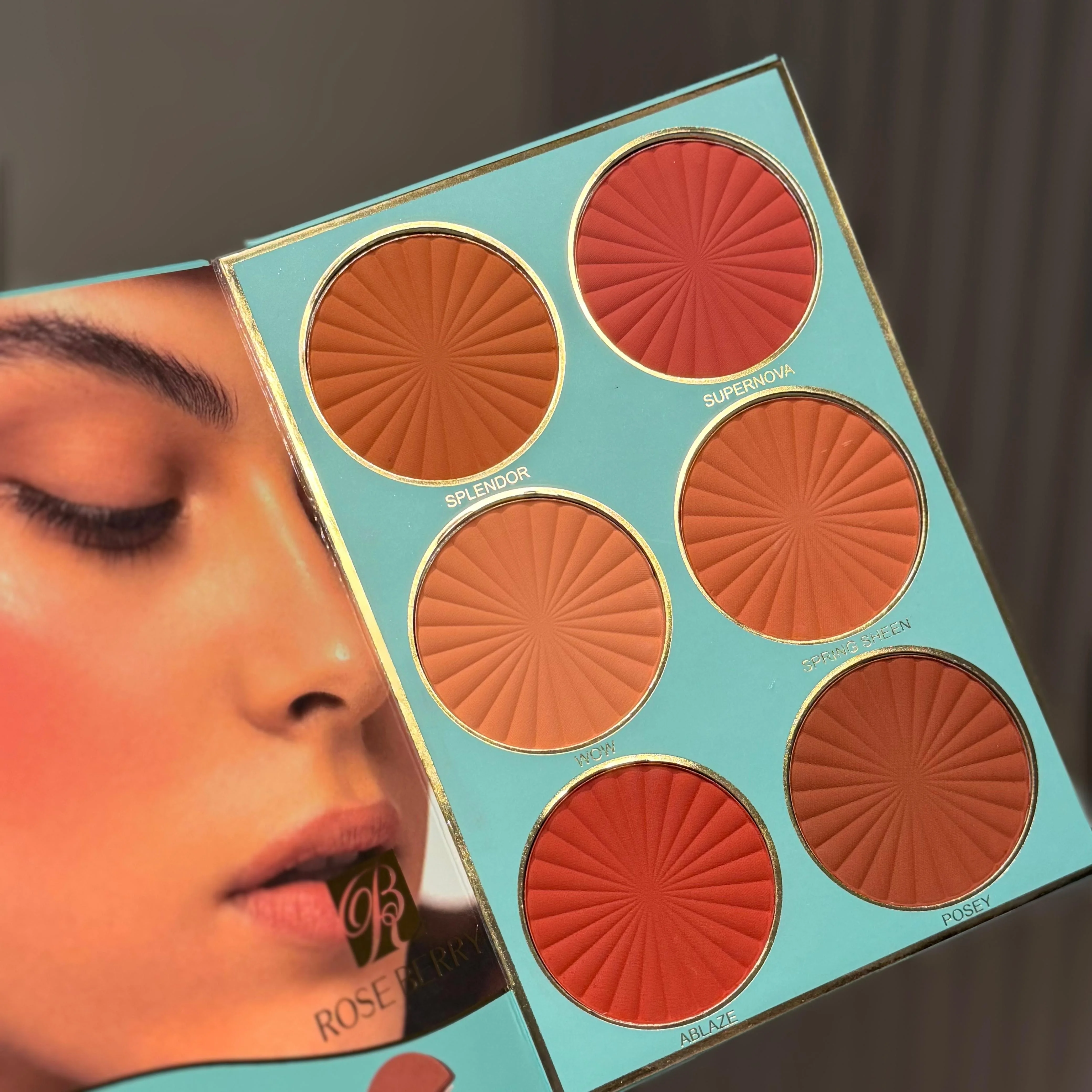 Rose Berry Tiffany Blue makeup book paletteلوحة ألوان مكياج روز بيري تيفاني بلو