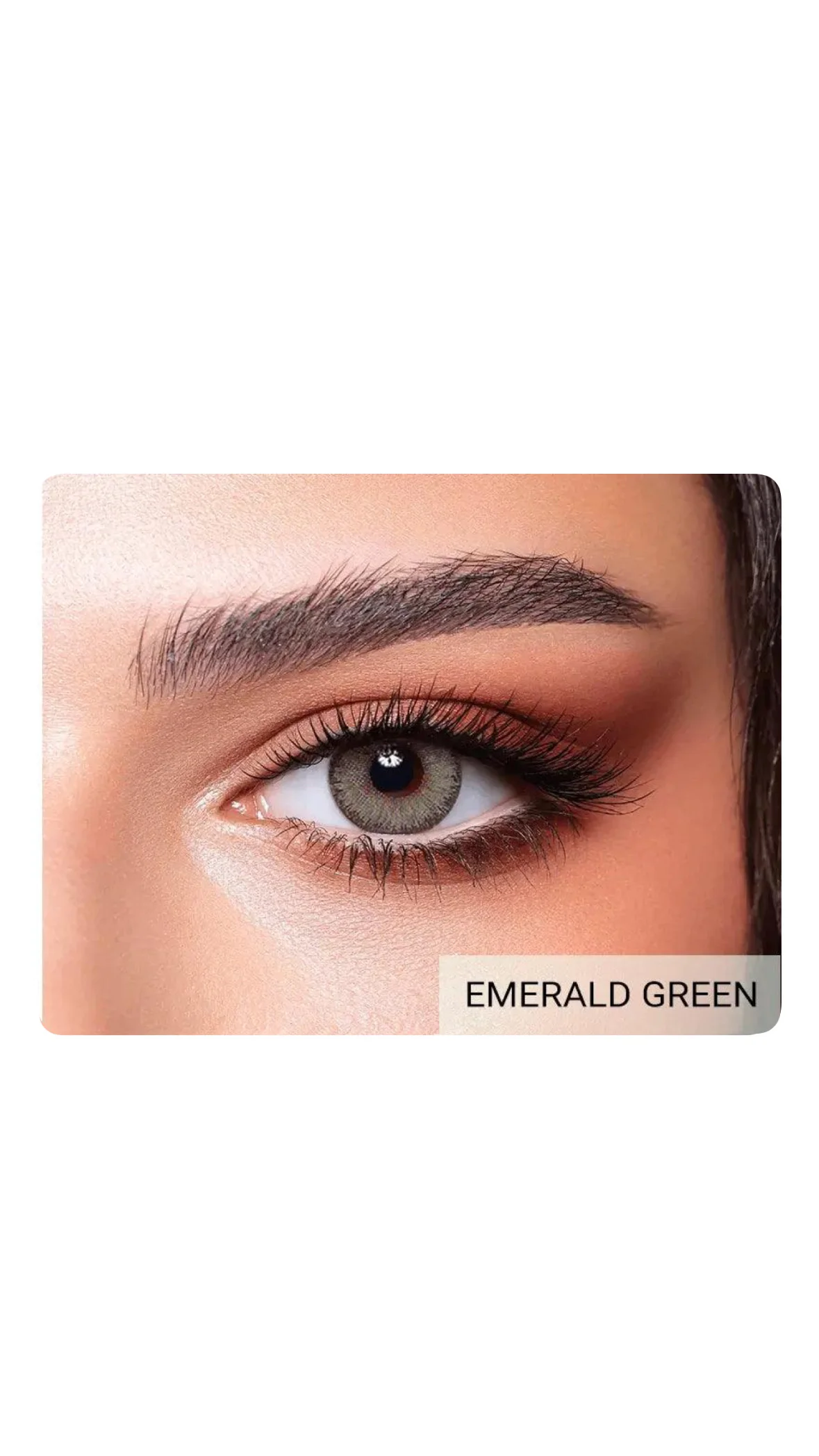 Bella Elite Collection – Colored Contact Lensesعدسات بيلا إيليت الملونة