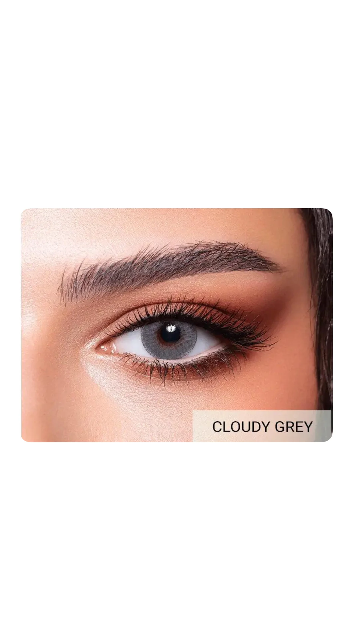 Bella Elite Collection – Colored Contact Lensesعدسات بيلا إيليت الملونة