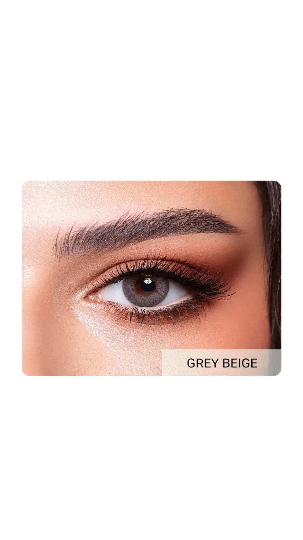 Bella Elite Collection – Colored Contact Lensesعدسات بيلا إيليت الملونة