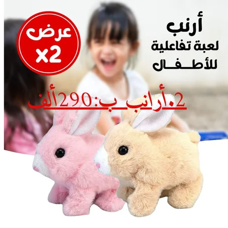 🐇 الأرنب الضريف: رفيق اللعب المثالي لصغيرك! 🐇✨ زوج ارانب بي 290 الف فقط