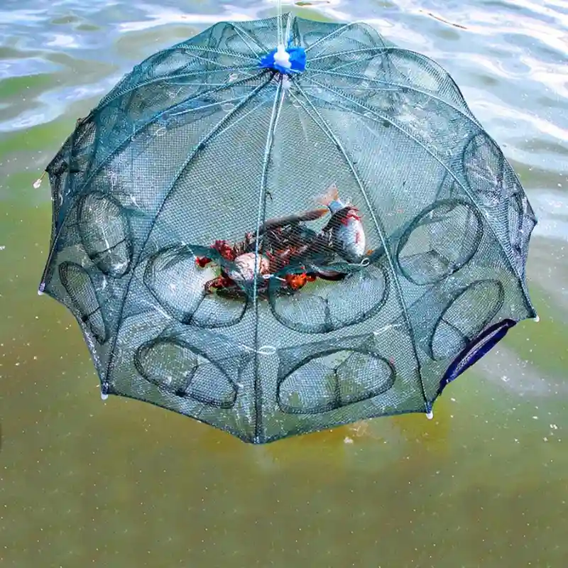 Si vous aimez attraper beaucoup de poissons dans vos prises, vous êtes au bon endroit