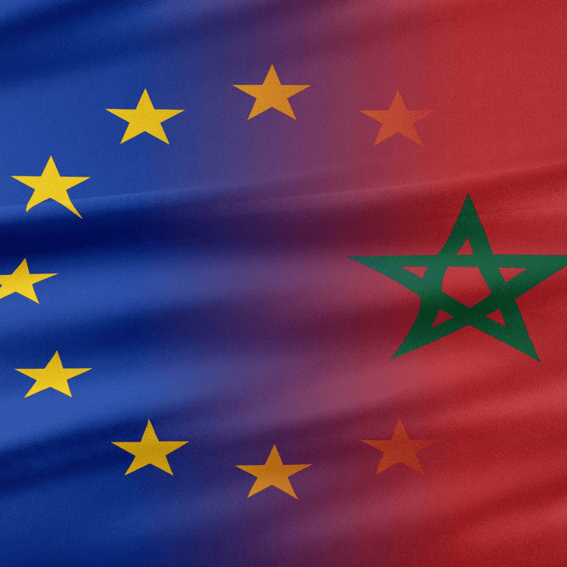 زيت السراغنة الأصالة والجودة بالإضافة إلى فوائده الصحية ، يعتبر زيت الزيتون أيضًا مكونًا ضروريا في المطبخ
