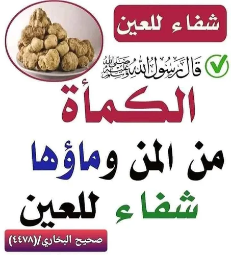 ماء الكمأة الأصلي  %100