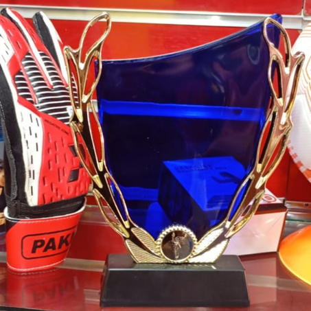 جائزة تقديرية