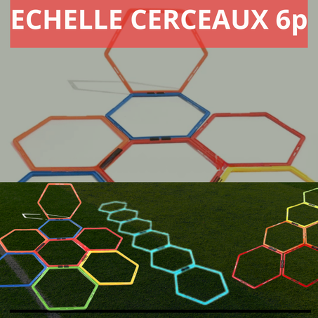 ECHELLE CERCEAUX 6p