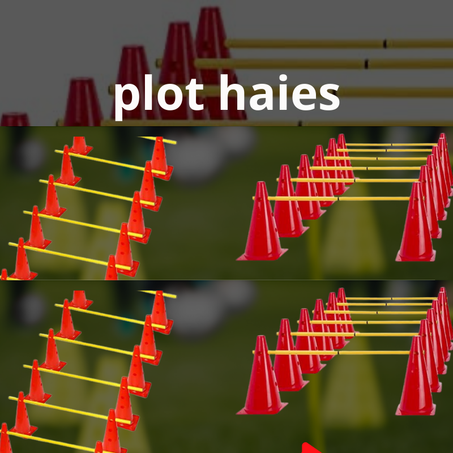 plot  haies