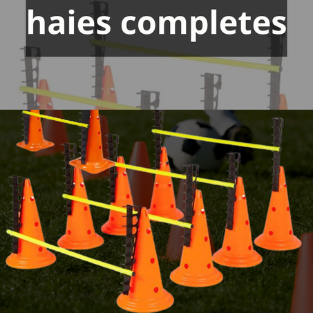 haies completes