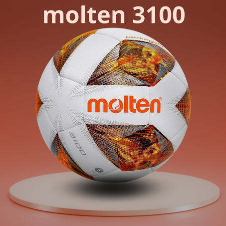 MOLTEN 3100