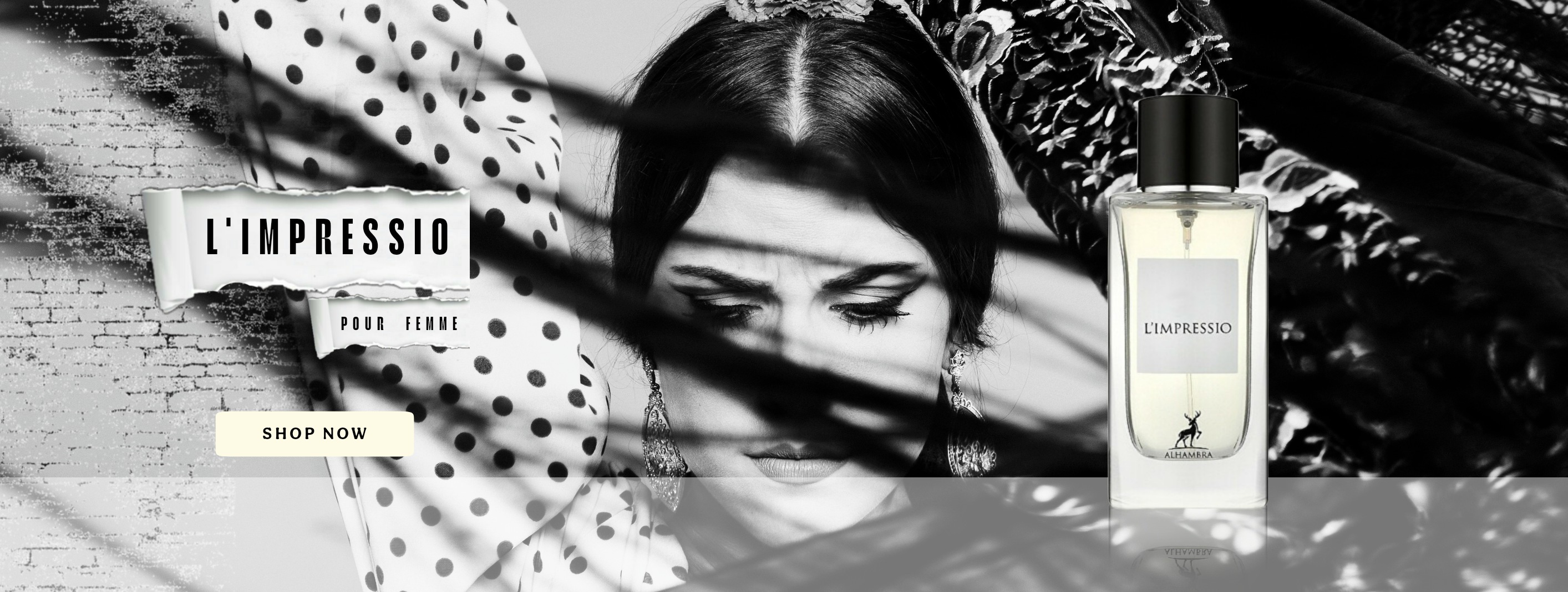 slider-image