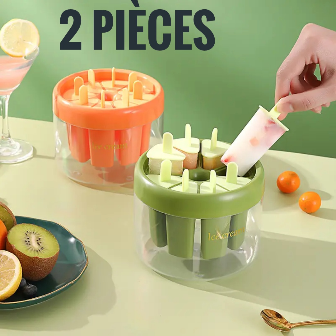 MOULE DE GLACES
