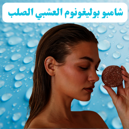 شامبو بوليغونوم العشبي الصلب