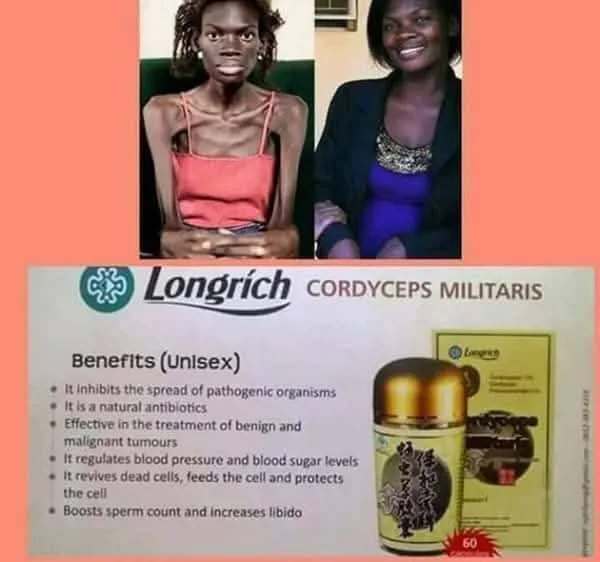 CORDYCEPS MILITARIS