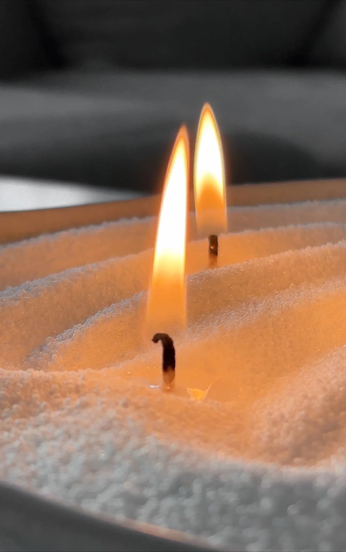 الشمع العادي