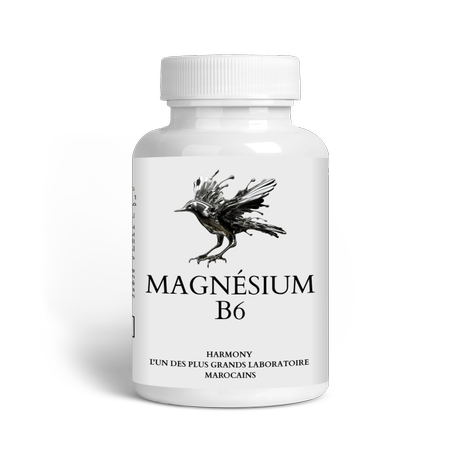 MAGNESIUM B6