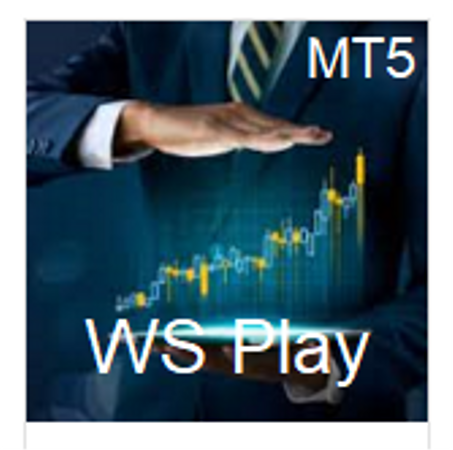 WS Play Expert
