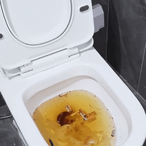 Déboucheur Professionnel en action