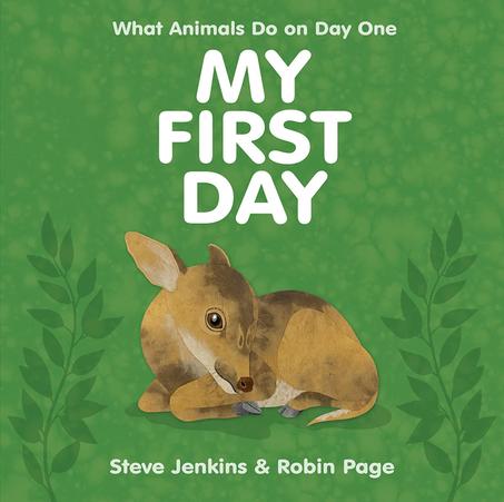 My First Day - What Animals Do on Day One
