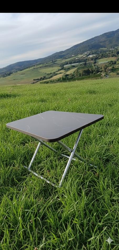 Table pliante petit