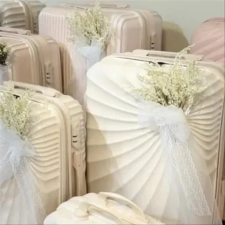 travel bridal bags