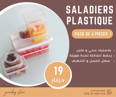 Saladiers Plastiques