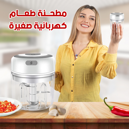 ELECTRIC MINI FOOD CHOPPER