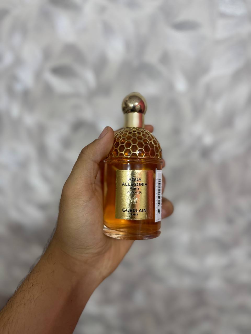 Aqua Allegoria Forte oud yuzu 100ml (Parfum complet sans emballage)