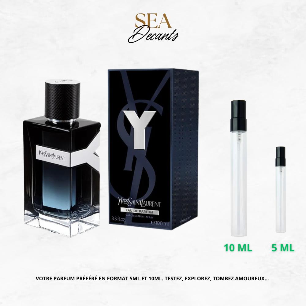 Y EDP de YSL