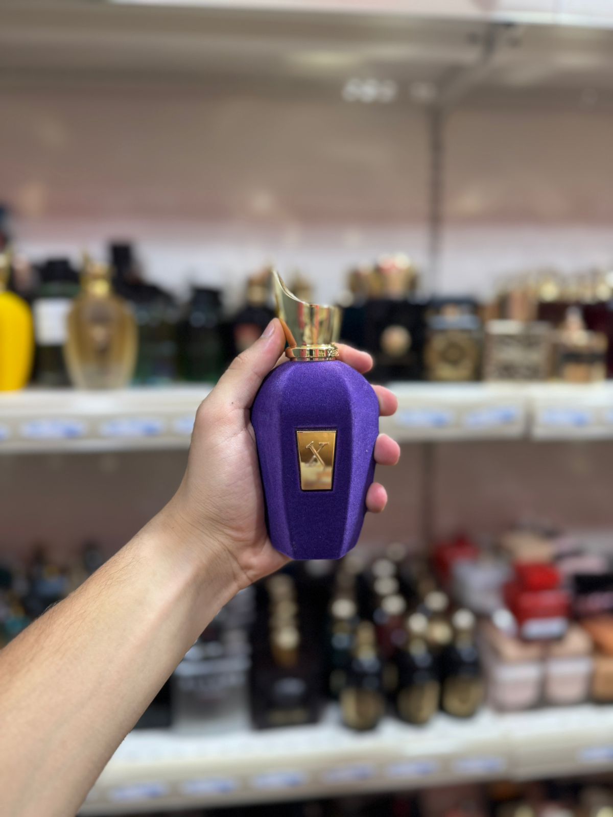 xerjoff soprano 100ml (complet sans emballage)