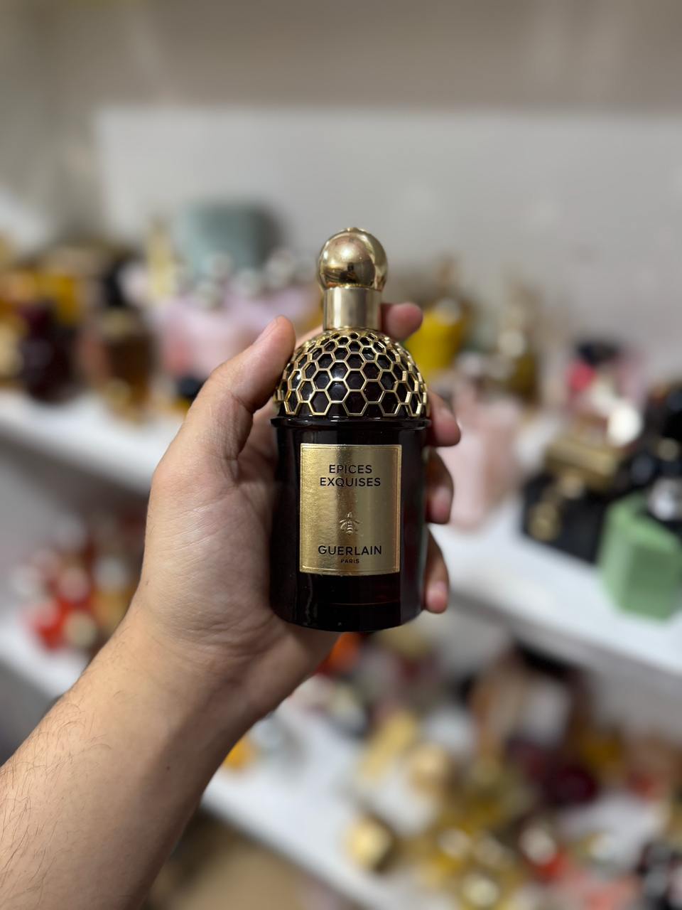 Absolu Allegoria Epices Exquises edp  ( perfum complet sans amballage )