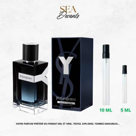 Ysl Y edp