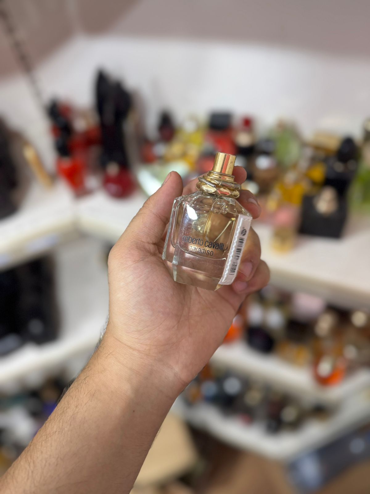 roberto cavalli paradiso 50ml(complet sans emballage)