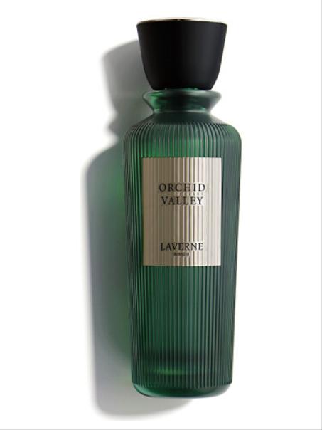 Orchid Valley Laverne