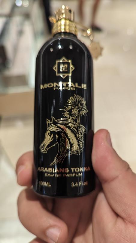 Arabians Tonka Montale